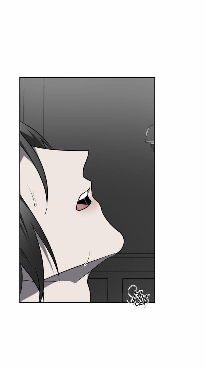 Dưỡng Thú Cưng 5 trang 41