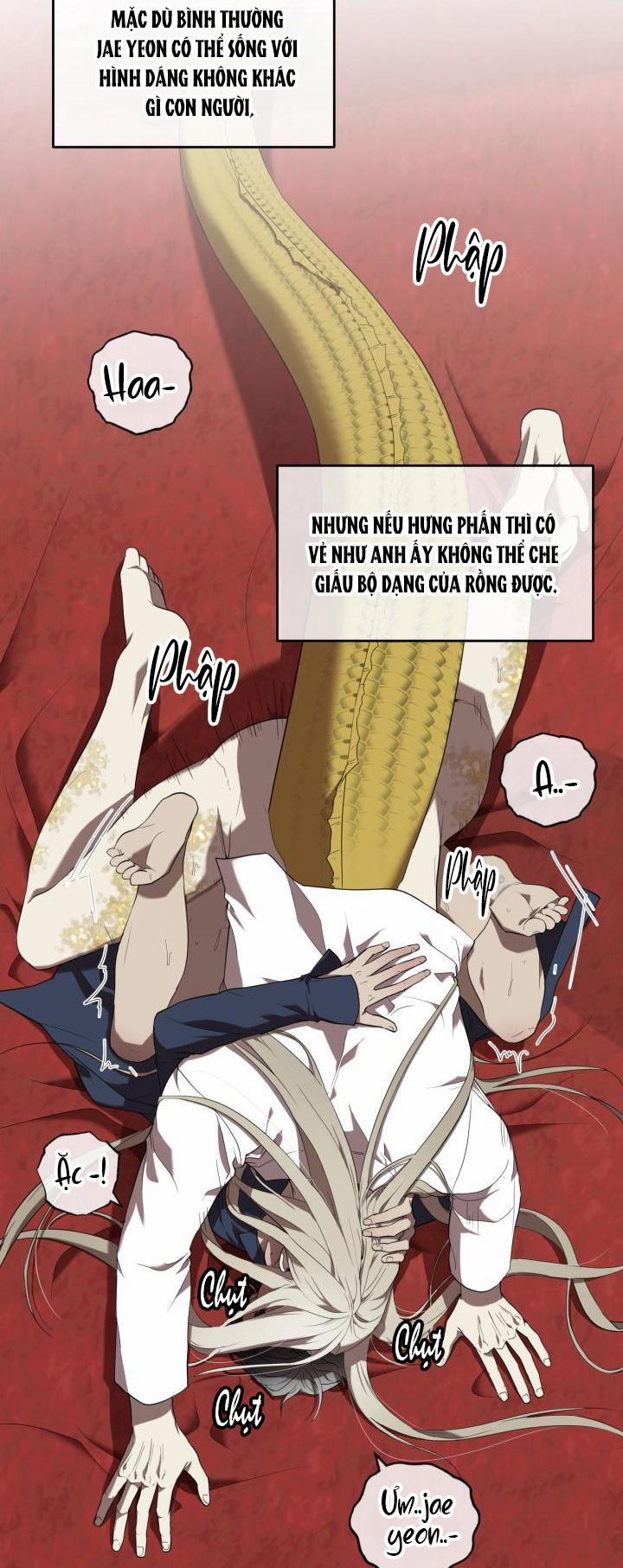 Dưỡng Thú Cưng 54 NGOẠITRUYỆN END trang 3