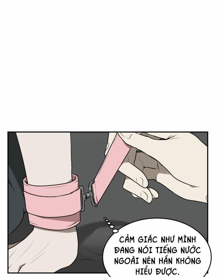 Dưỡng Thú Cưng 6 trang 25