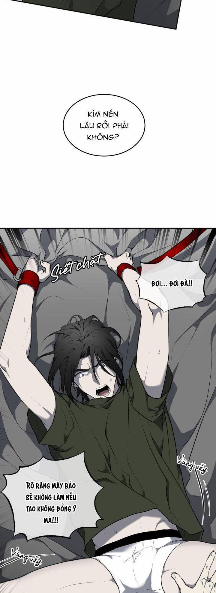 Dưỡng Thú Cưng 7 trang 41