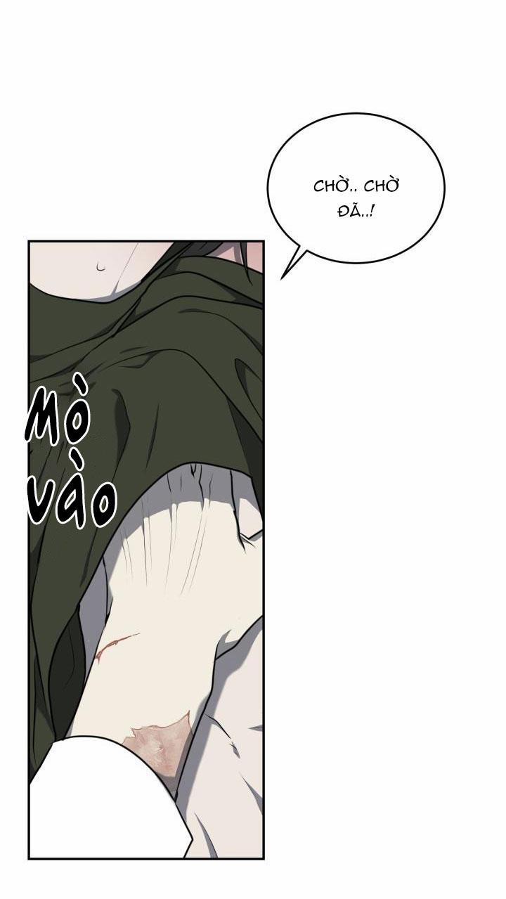 Dưỡng Thú Cưng 8 trang 29