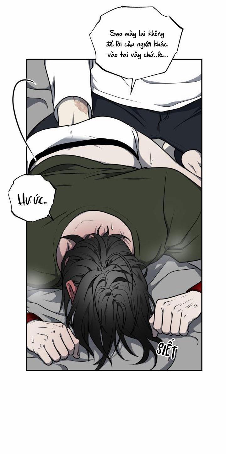 Dưỡng Thú Cưng 8 trang 38