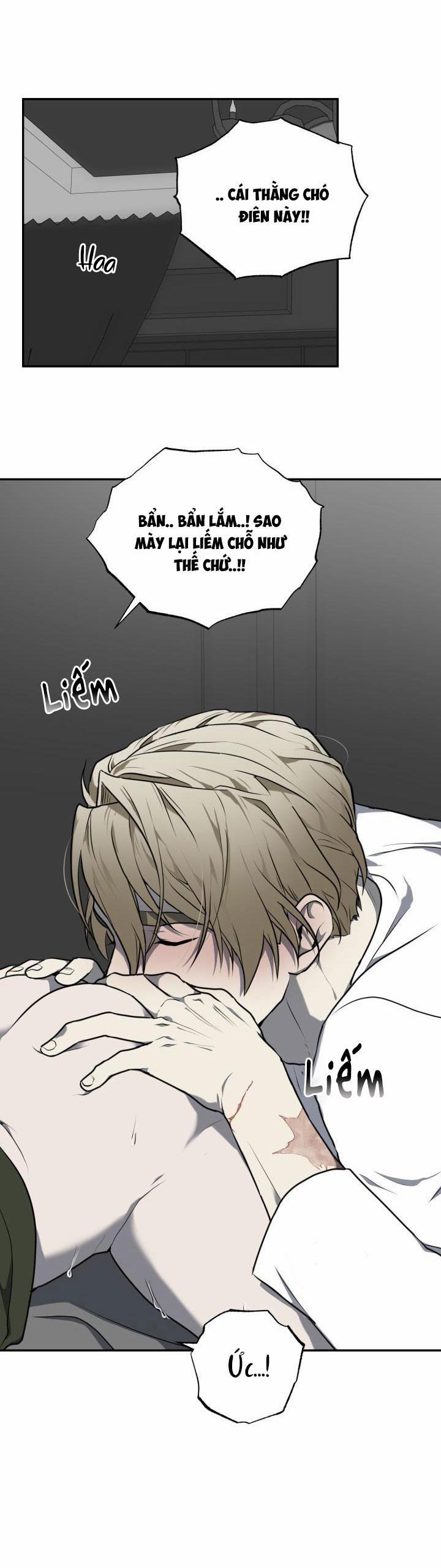 Dưỡng Thú Cưng 8 trang 48