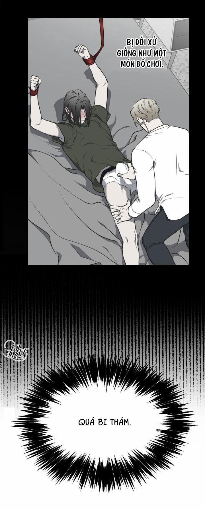 Dưỡng Thú Cưng 9 trang 39