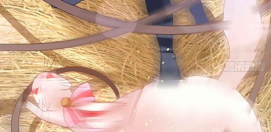 Dưỡng Thú Làm Phi 12 trang 10