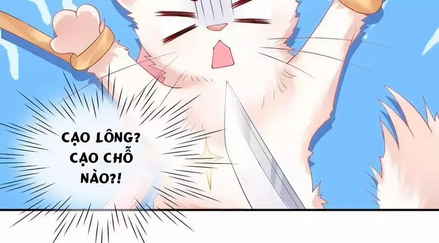 Dưỡng Thú Làm Phi 3 trang 13