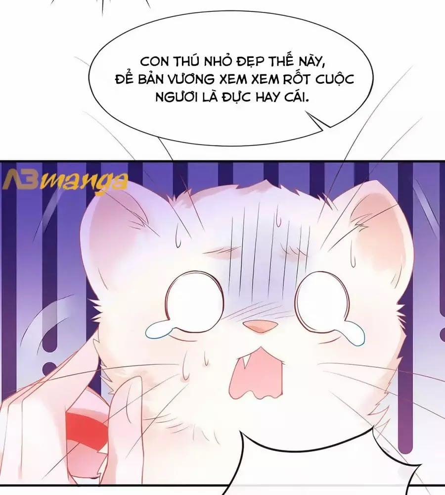 Dưỡng Thú Làm Phi 3 trang 14