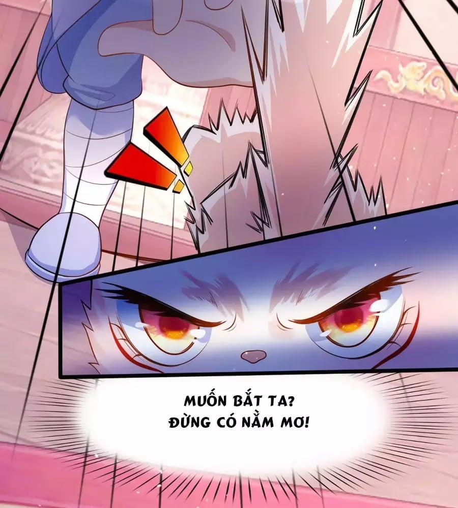 Dưỡng Thú Làm Phi 4 trang 67