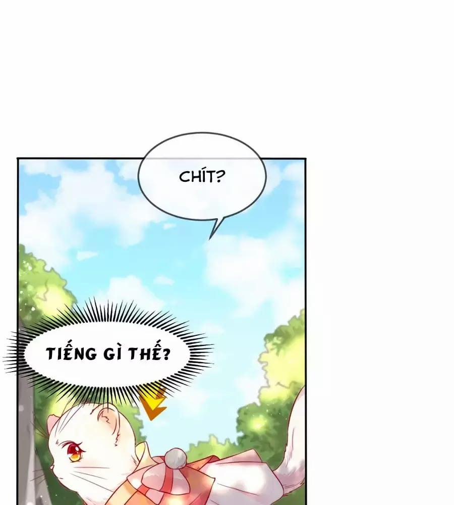 Dưỡng Thú Làm Phi 5 trang 5