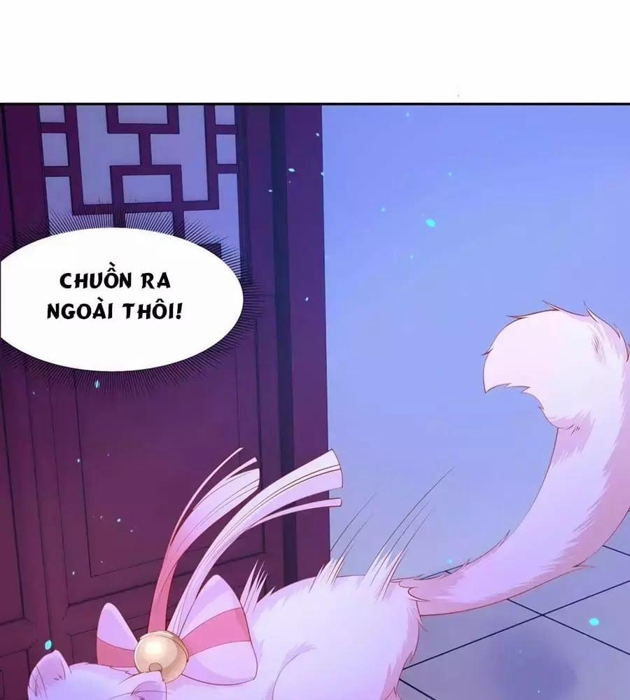Dưỡng Thú Làm Phi 8 trang 16