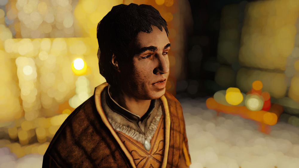 Elenwen, Emissary of Thalmor 1 trang 24