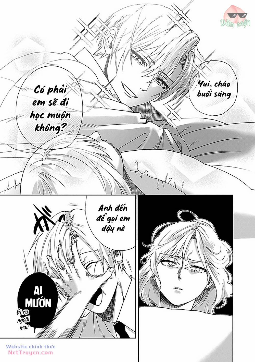 Em Gái Tôi Cảm Thấy Phiền Phức Với Anh Trai Siscon 2 trang 3