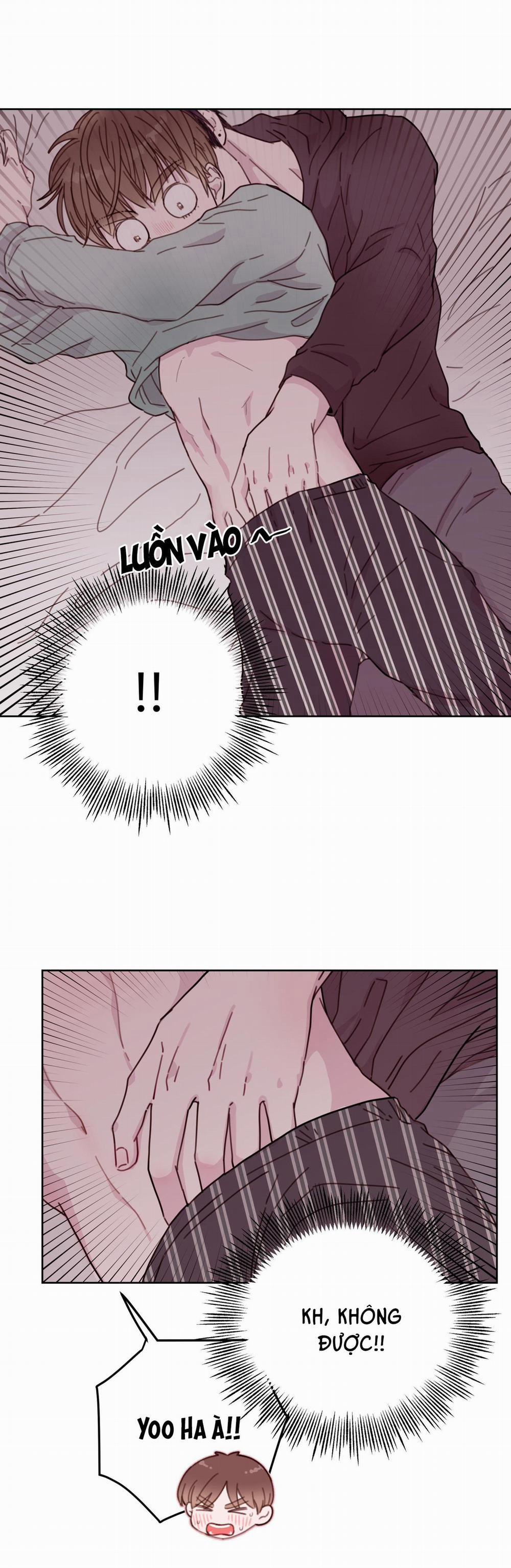 Em Trai Vợ Thật Nguy Hiểm 5 trang 5