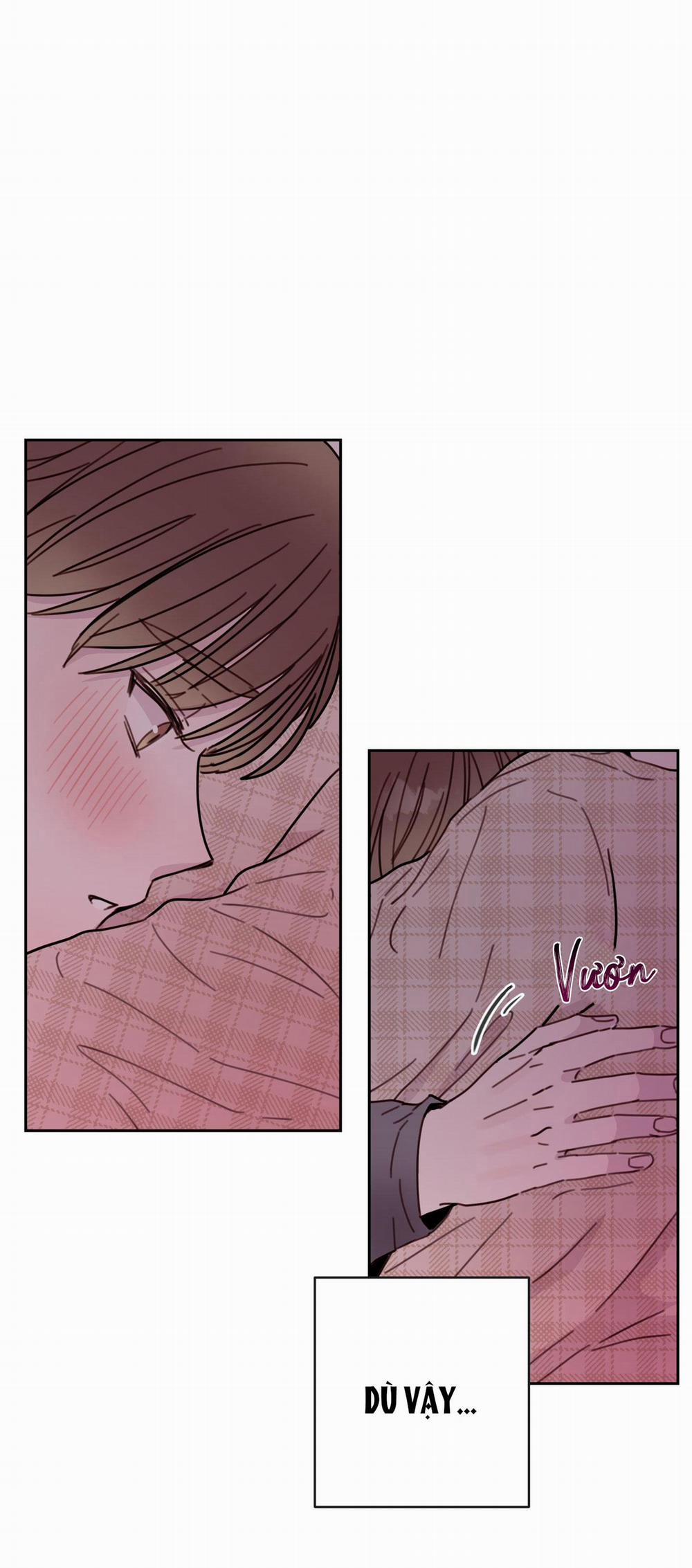 Em Trai Vợ Thật Nguy Hiểm 6 trang 19