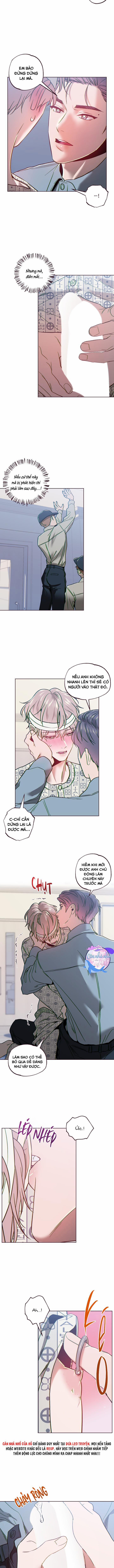 (END SS2) SỤP ĐỔ 31 trang 7