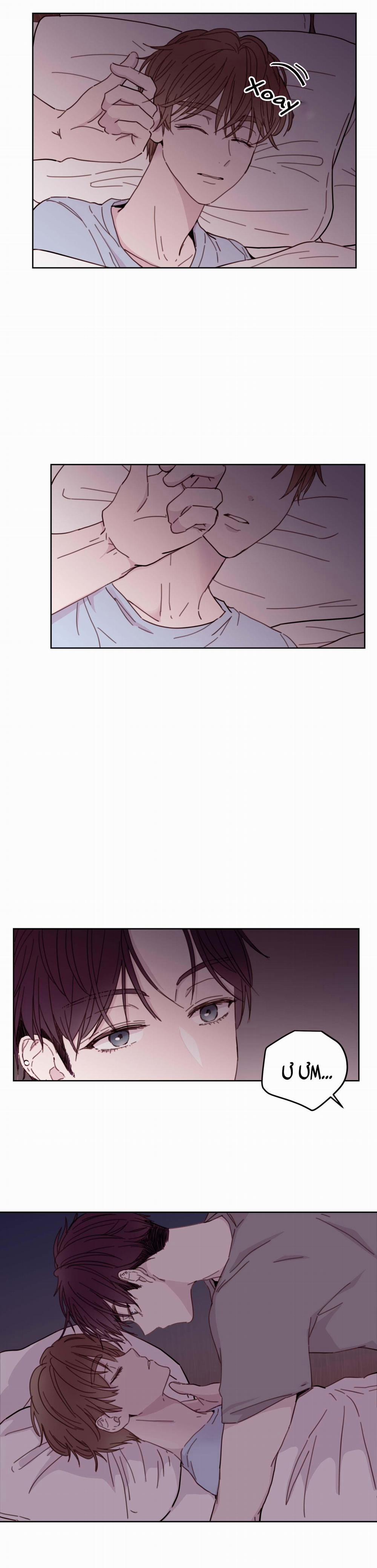 (END) TÊN EM VỢ NGUY HIỂM CỦA TÔI 3 trang 2