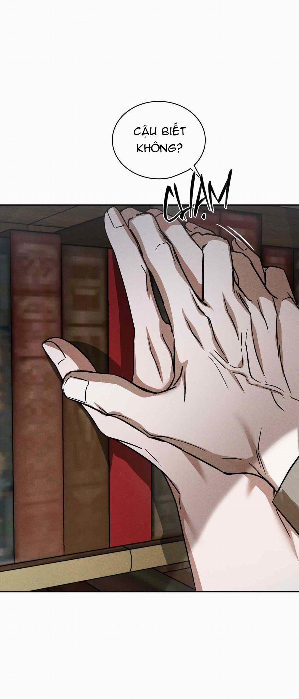 Flashlight 14 trang 28