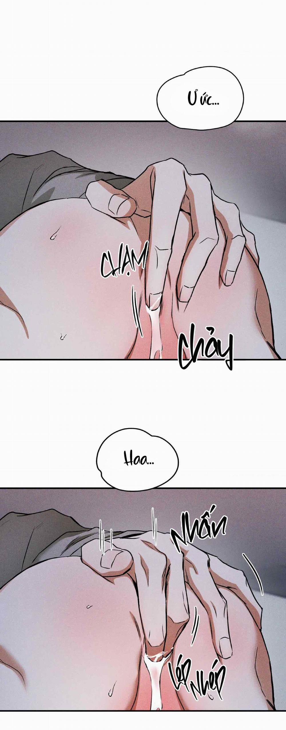 Flashlight 18 trang 4