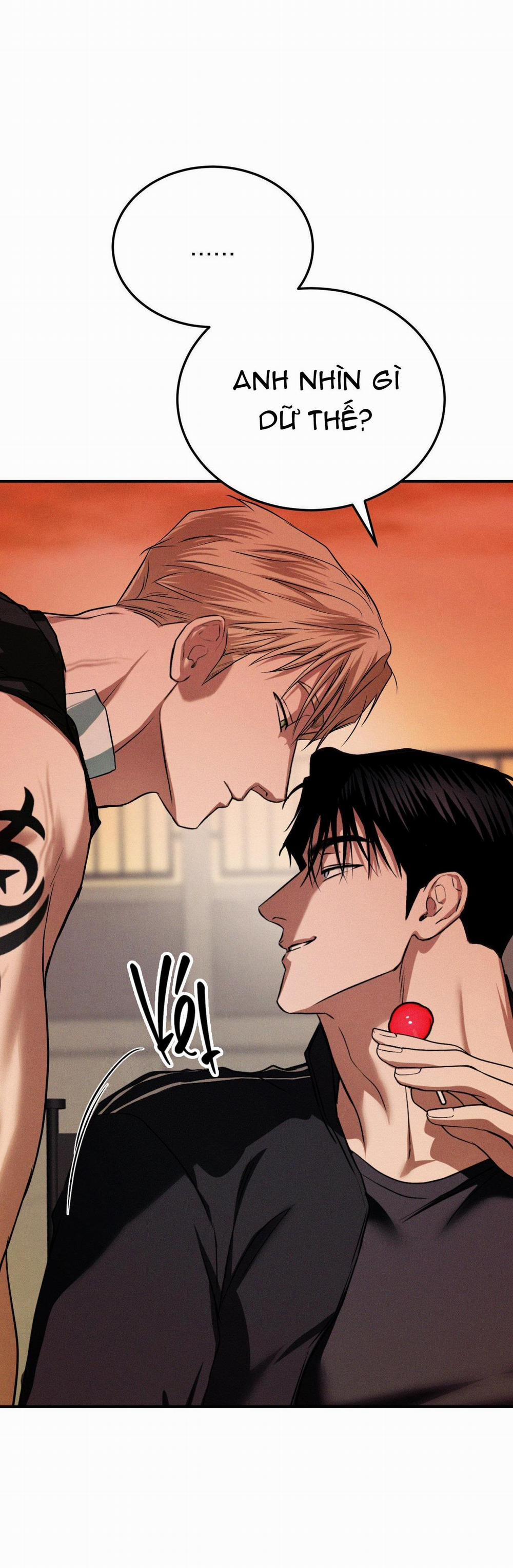 Flashlight 23 trang 21