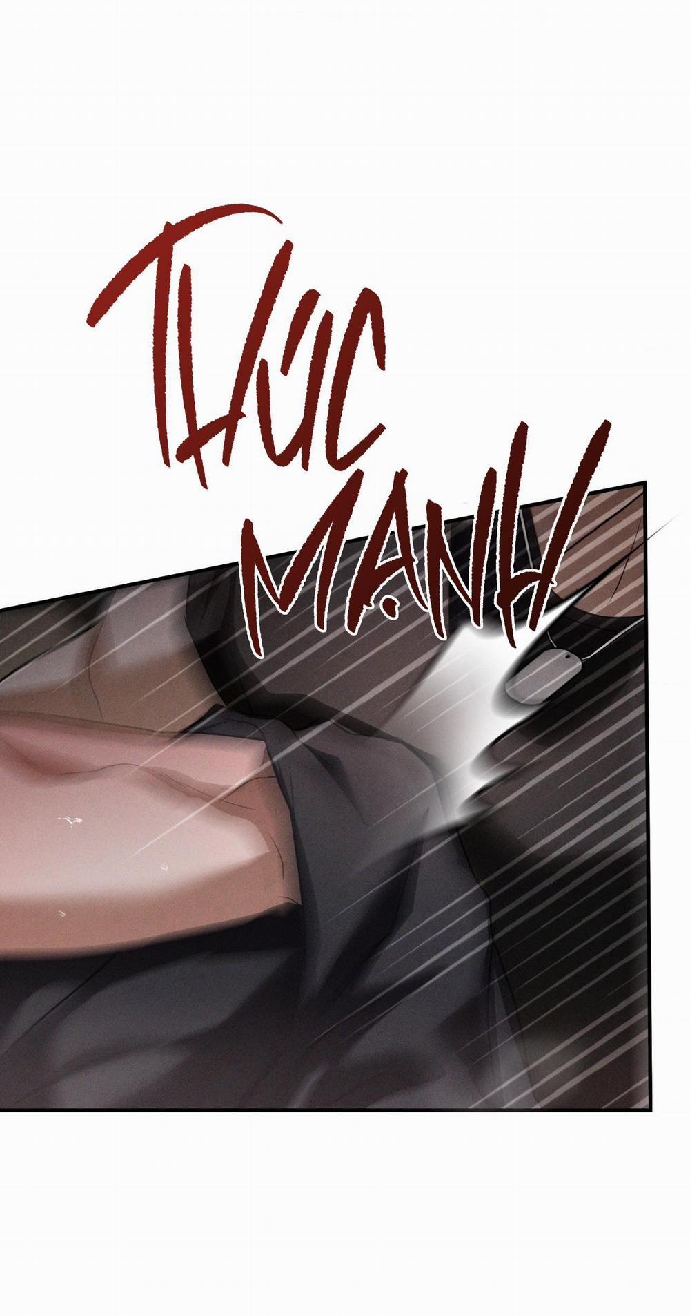 Flashlight 31 trang 10