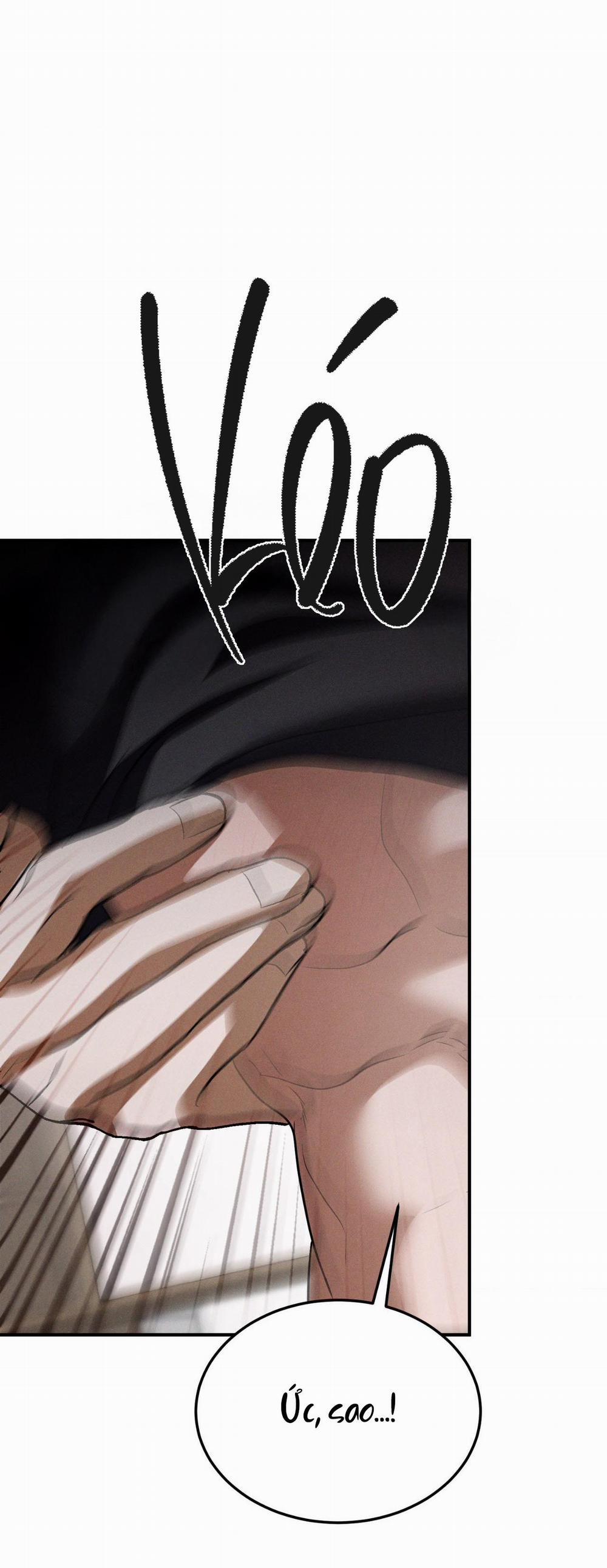 Flashlight 31 trang 19