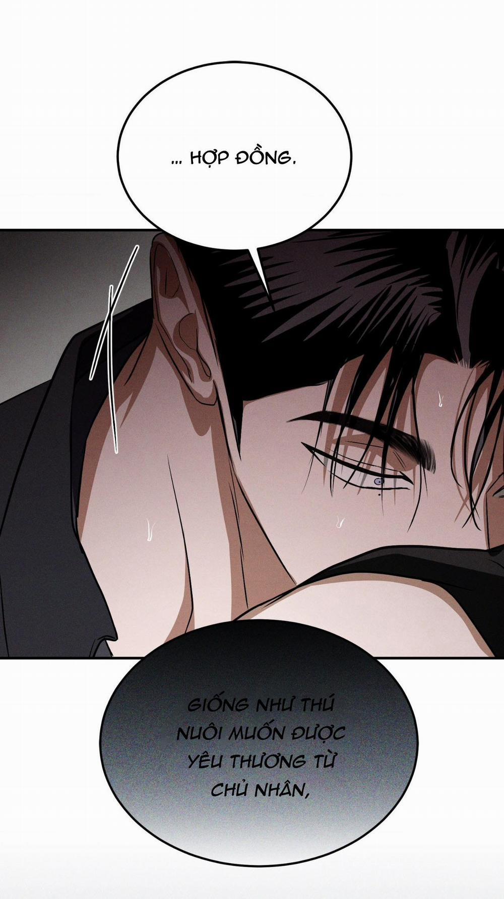 Flashlight 31 trang 53