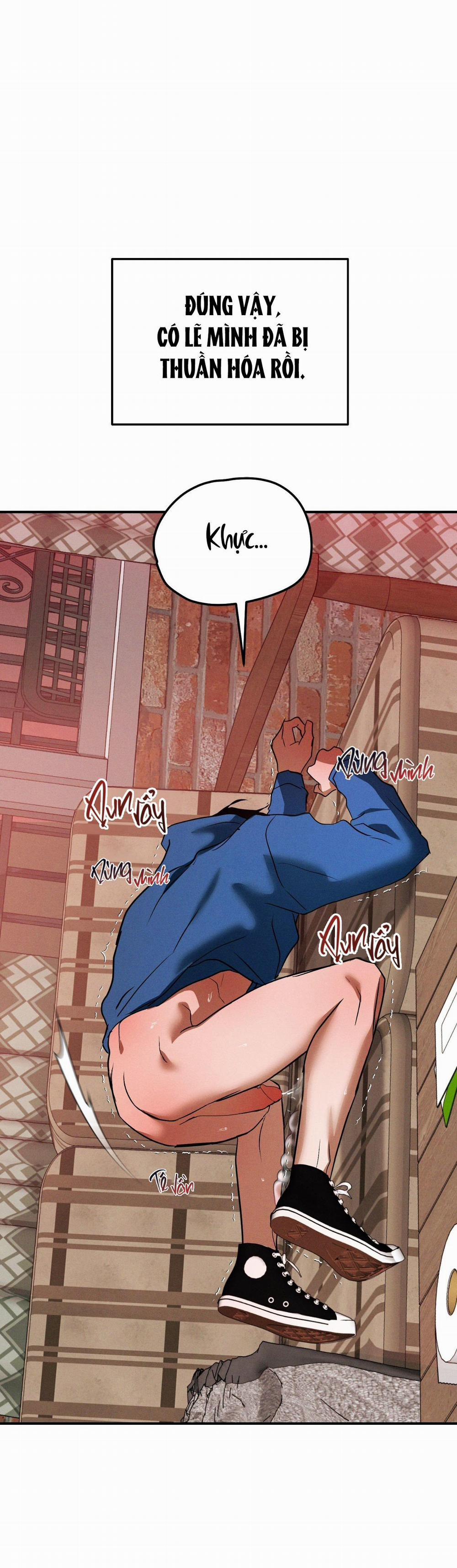 Flashlight 36 H+++ full HD trang 47