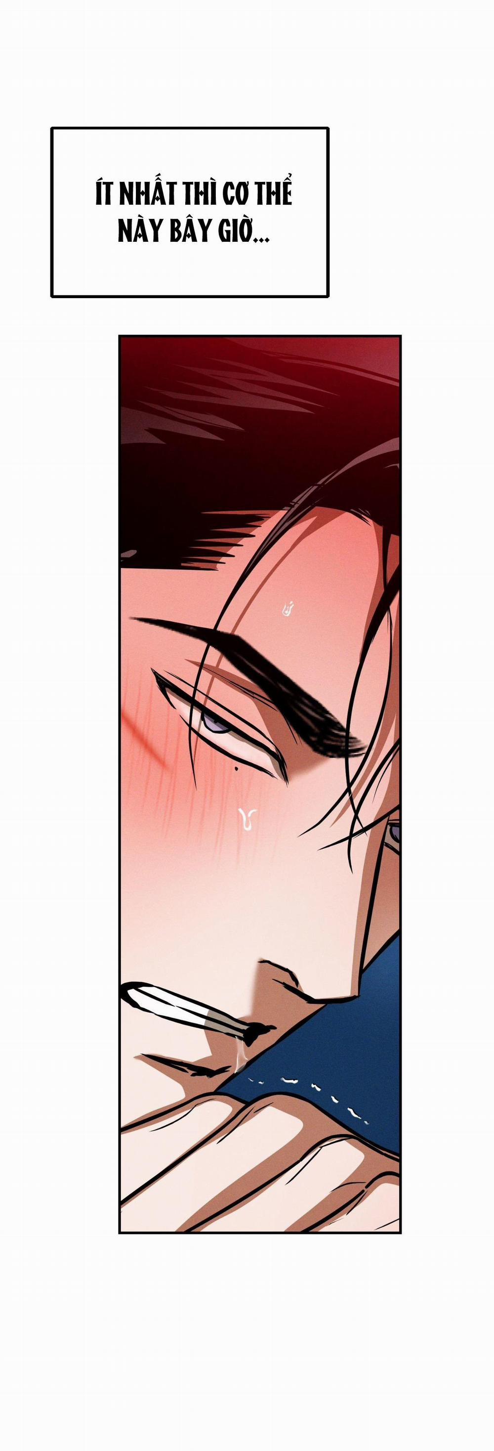 Flashlight 36 H+++ full HD trang 50