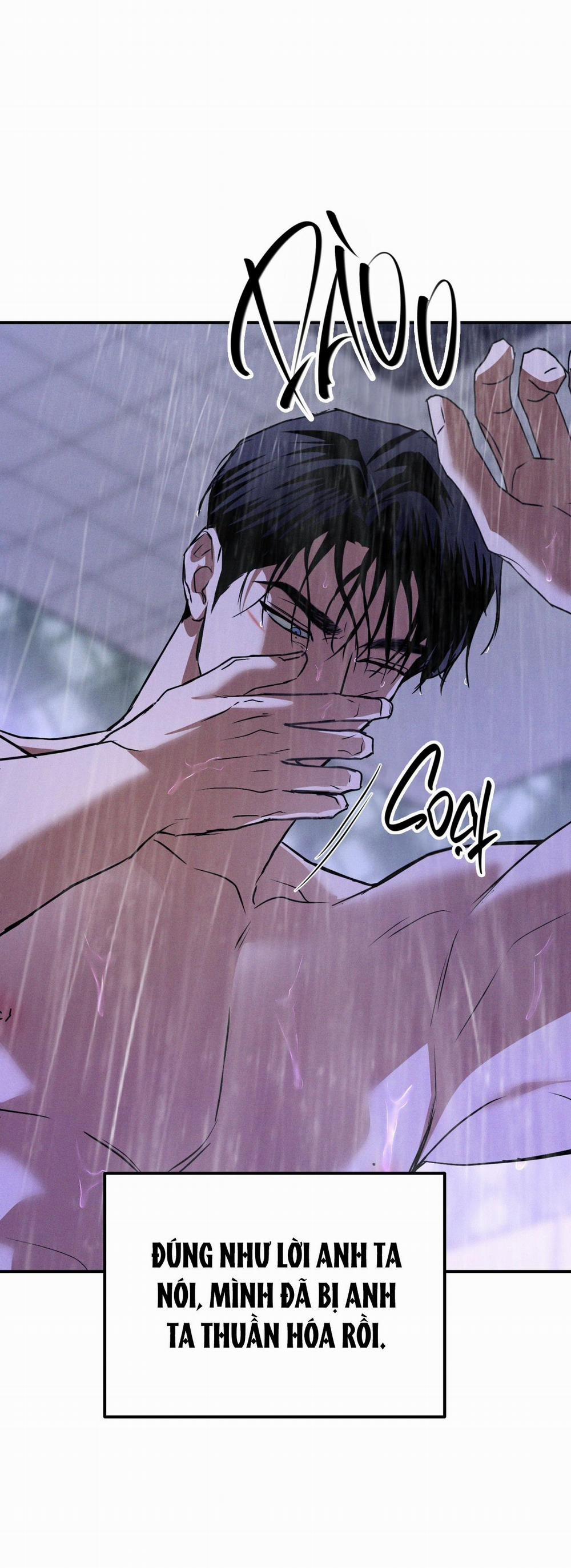 Flashlight 37 trang 13