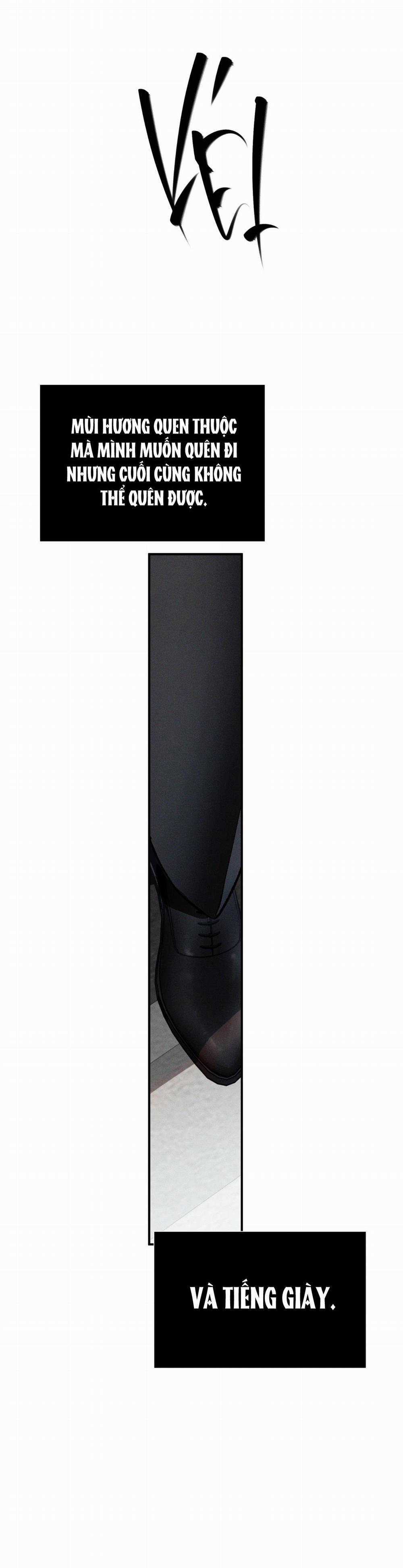 Flashlight 37 trang 44