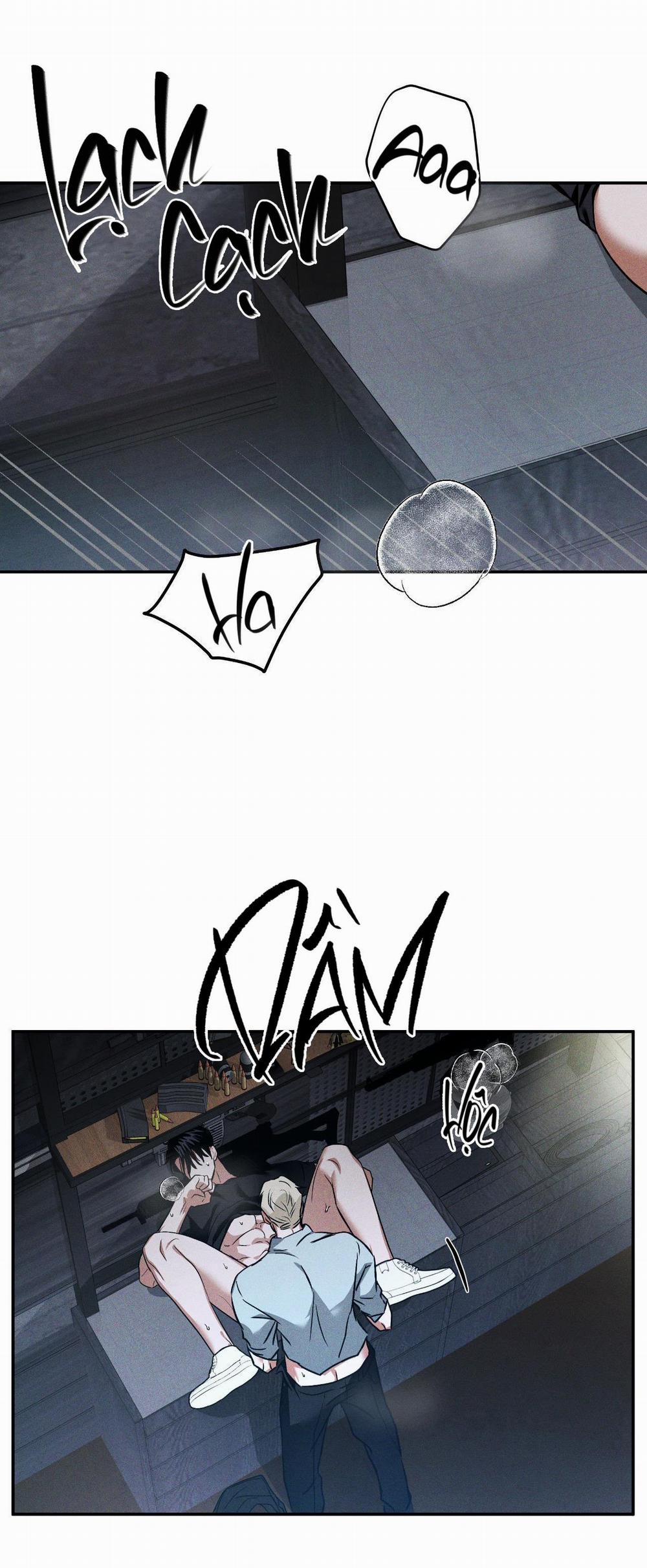 Flashlight 8 trang 15