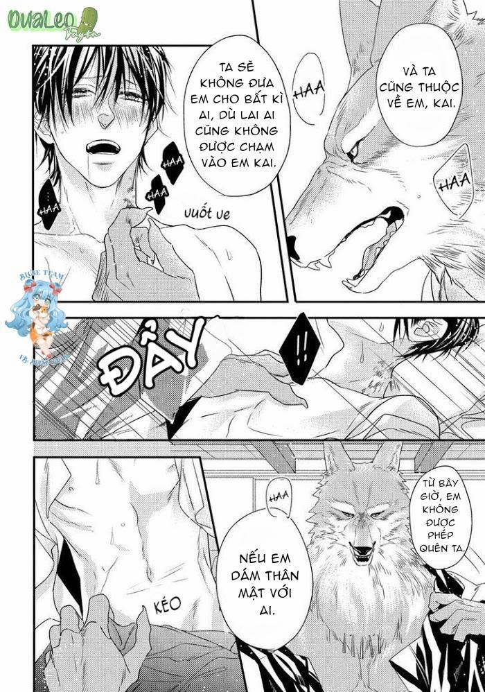 [Full] Pendulum: Kemonohito Omegaverse 4 trang 3