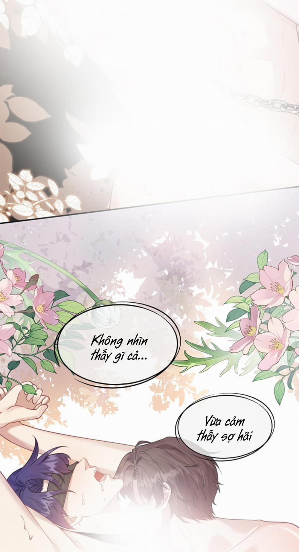 Gài Bẫy Ác Khuyển 43 trang 15