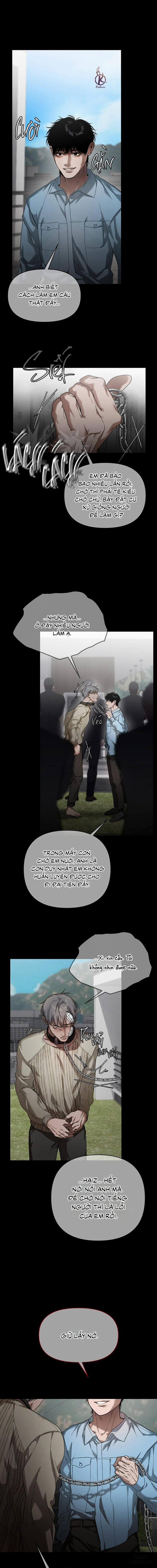 Gạt Tàn 3 trang 10
