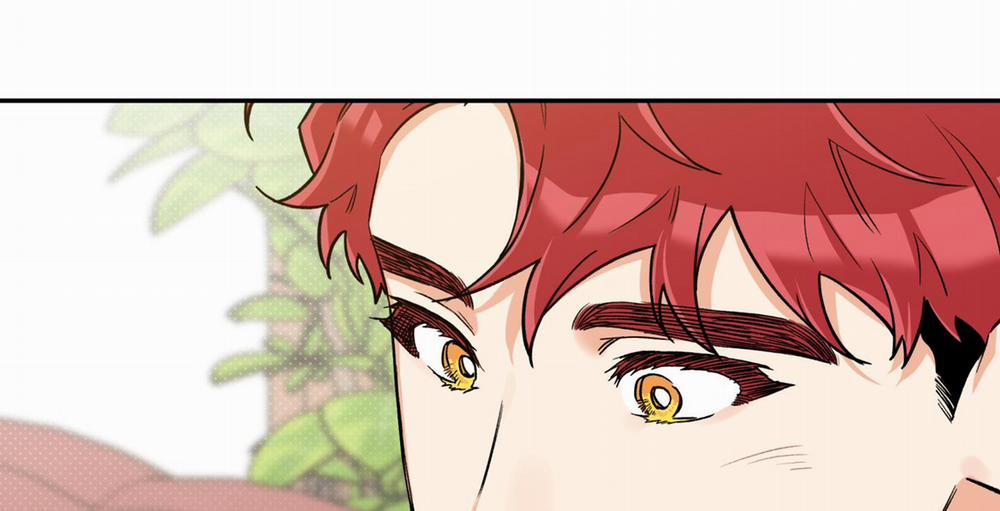 Gâu Gâu! 0 Side story 1 trang 8