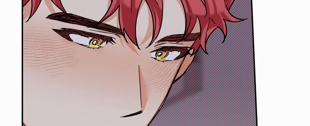 Gâu Gâu! 0 Side story 5 trang 124