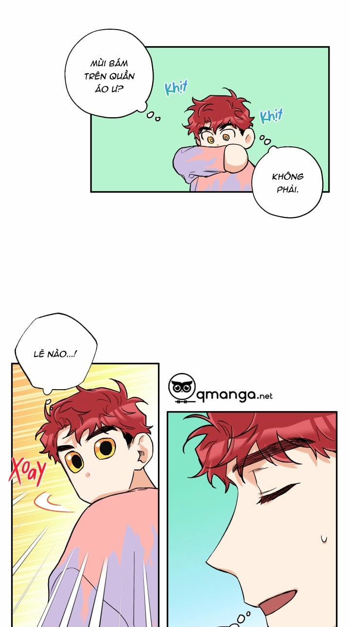 Gâu Gâu! 26 trang 40