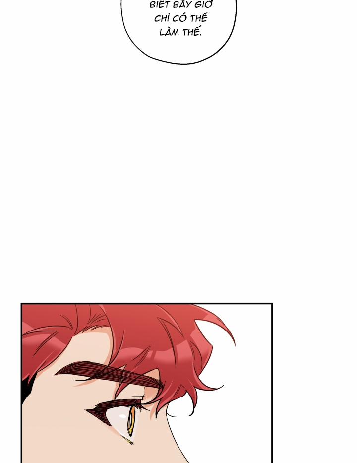 Gâu Gâu! 29 trang 28