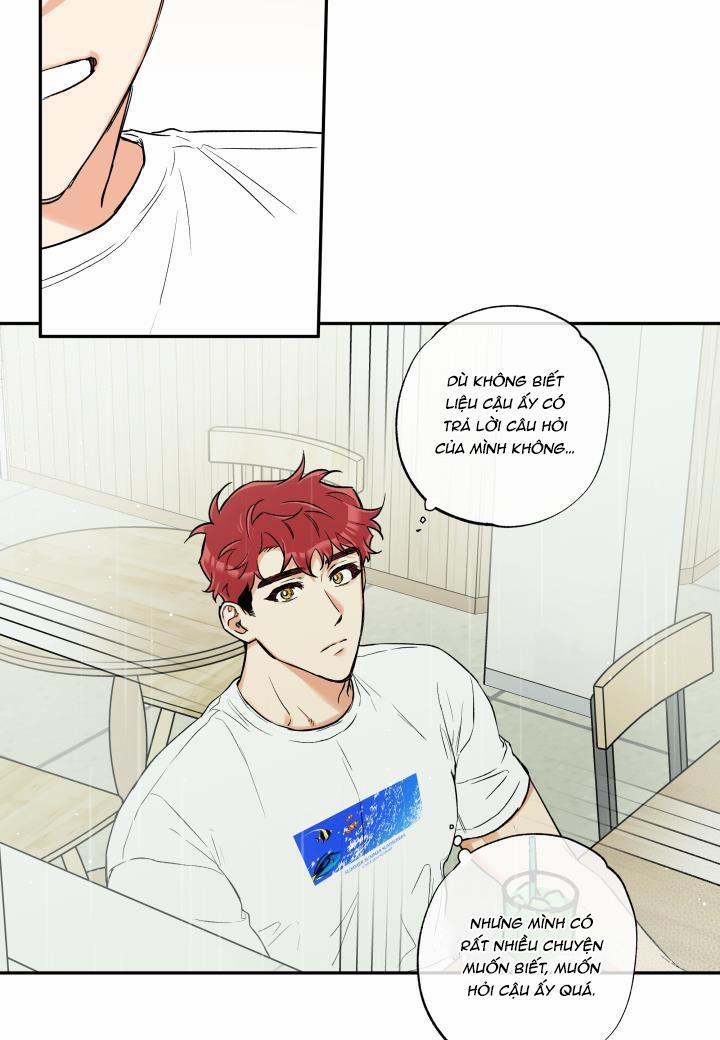 Gâu Gâu! 36 trang 19