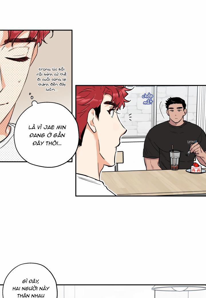 Gâu Gâu! 36 trang 5