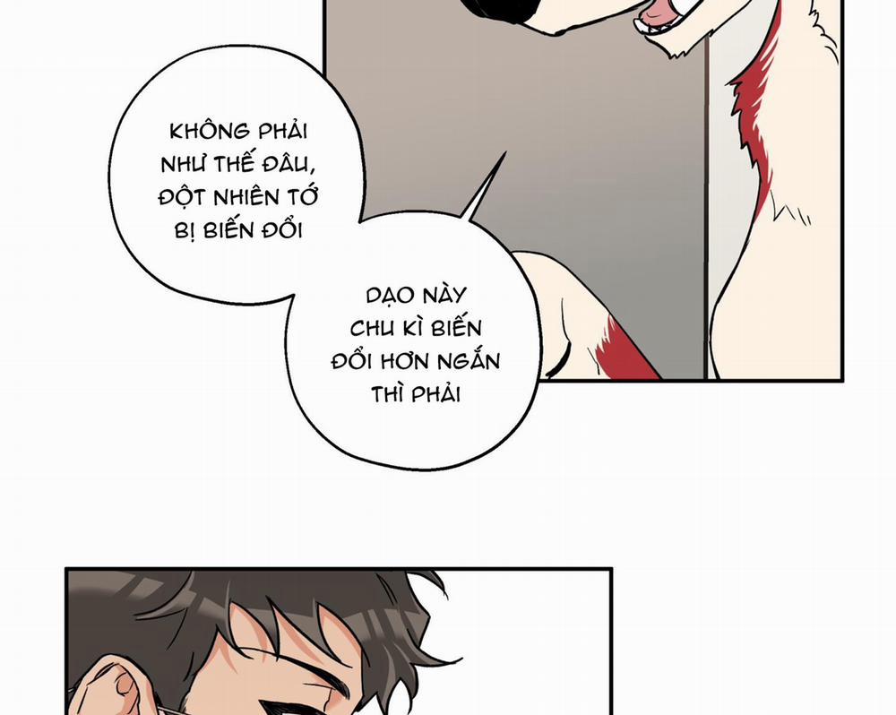 Gâu Gâu! 43 trang 116