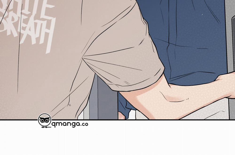 Gâu Gâu! 43 trang 8