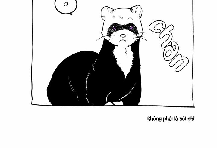 Gâu Gâu! 56 trang 23
