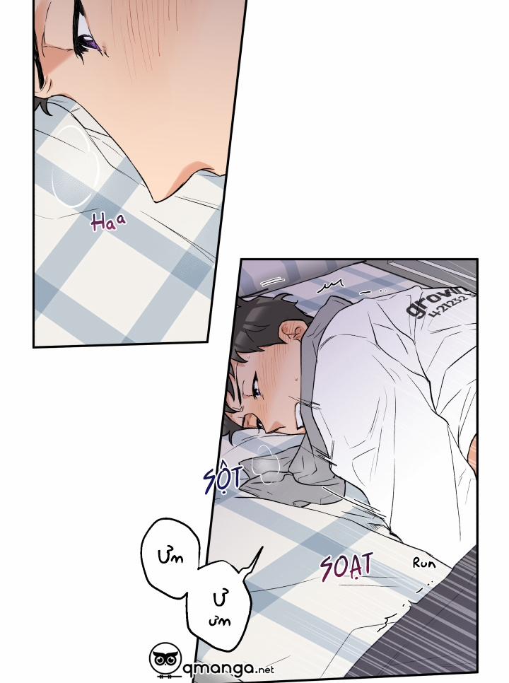 Gâu Gâu! 6 trang 35