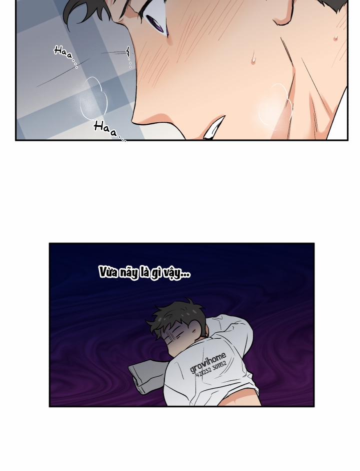 Gâu Gâu! 6 trang 42