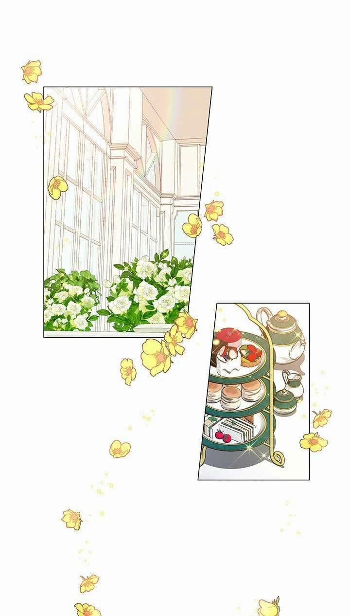 Gia Sư Của Công Tước 12 trang 4