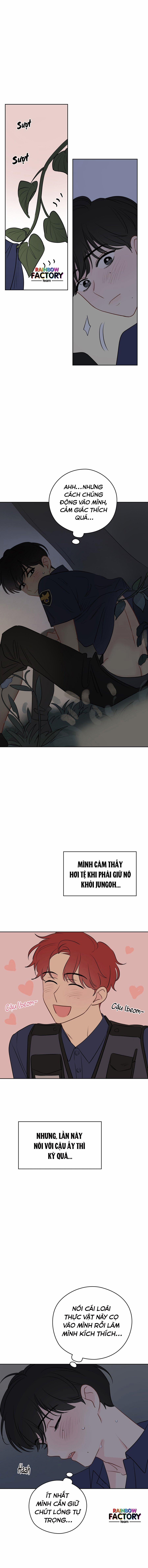 Giấc Mơ Kì Lạ 23 trang 11