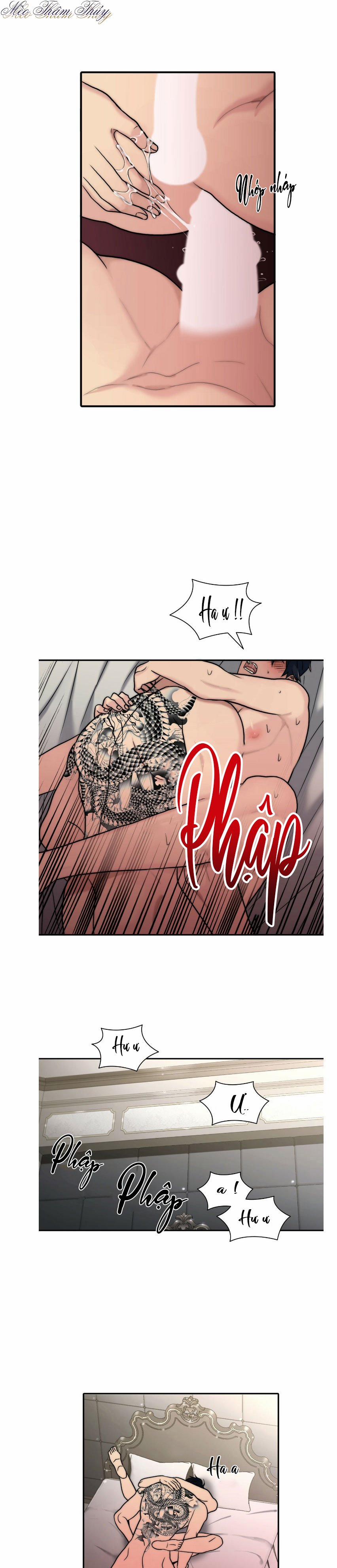 Giai Điệu Của Ngôn Ngữ 65 trang 18