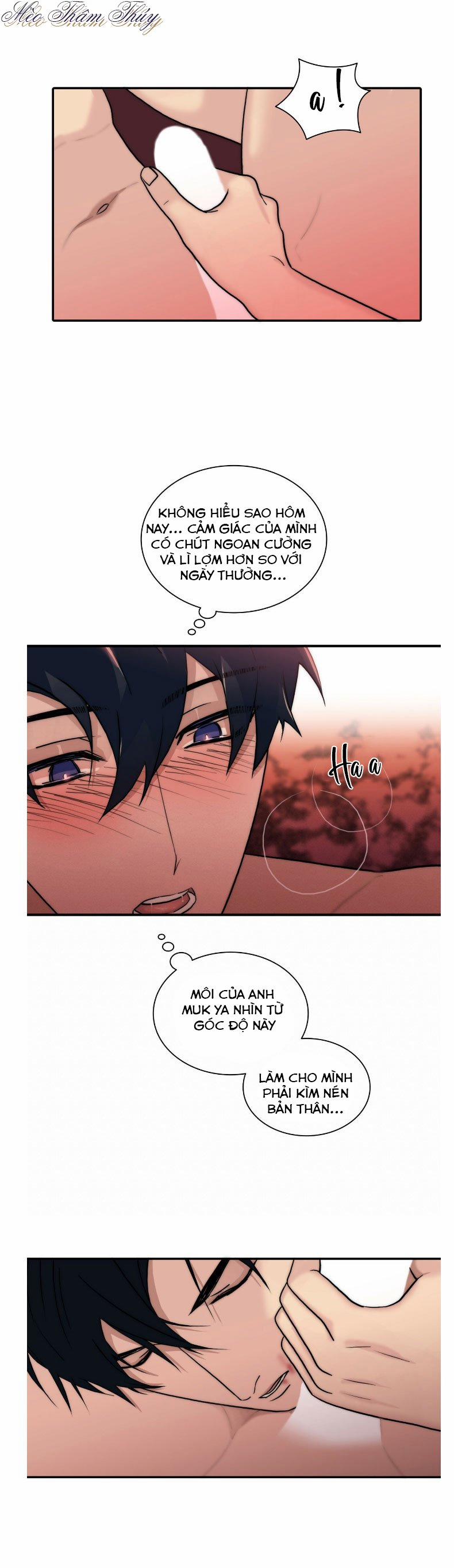 Giai Điệu Của Ngôn Ngữ 65 trang 3