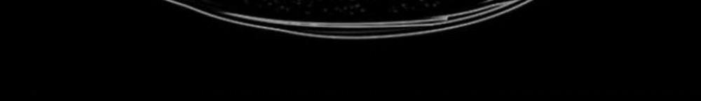 Giáo Dục Chân Chính 100 trang 11